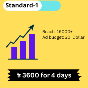 Facebook Boost – Standard-1